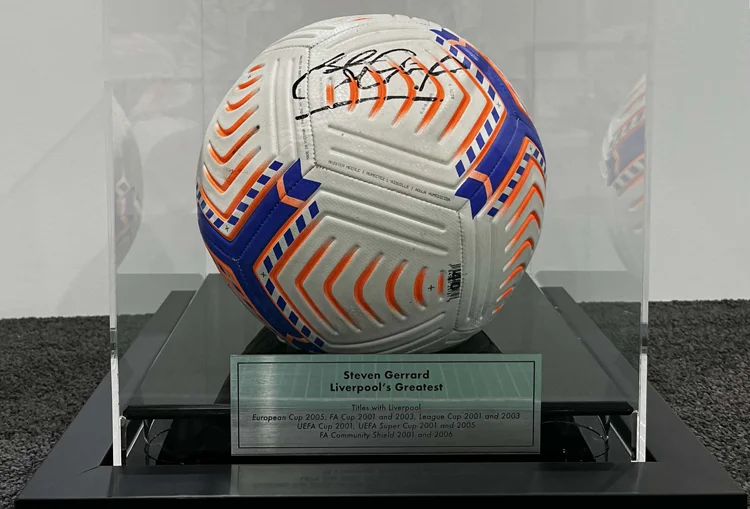 Custom Ball Displays Soccer